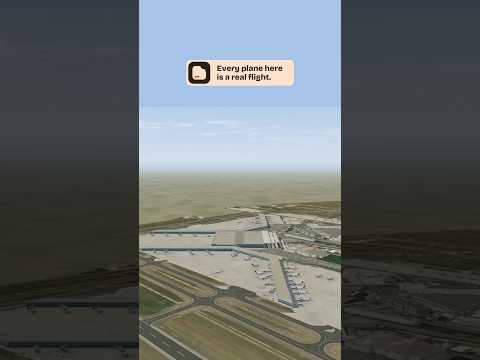 Every plane you see in this 3D airport is a real flight ✈️ #delhiairport #flighttracker #aviation