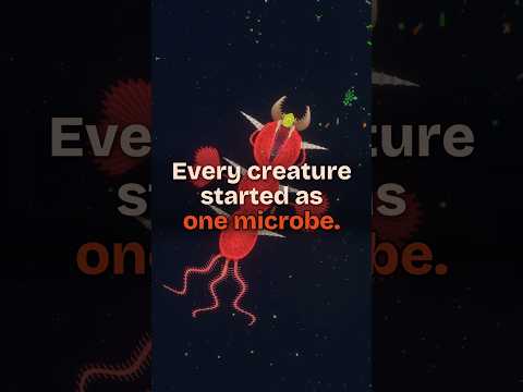 Watch one microbe turn into a whole ecosystem in minutes 🌍 #simulation #biology