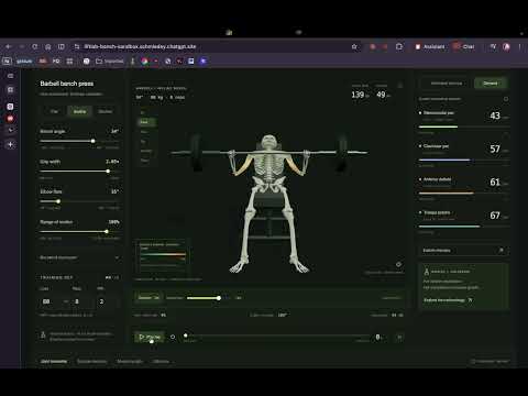 Biomechanics visualizer for lifting